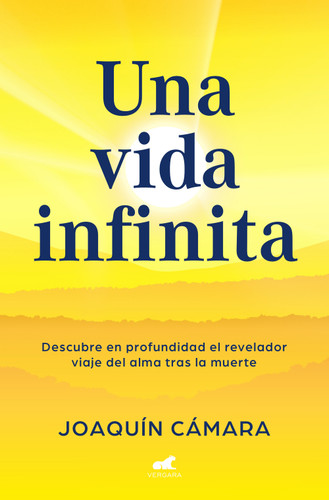 Una vida infinita. Descubre en profundidad el revelador viaje del alma tras la muerte / An Infinite Life book cover by Joaquín Cámara