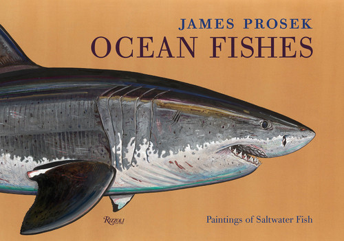 James Prosek: Ocean Fishes: Paintings of Saltwater Fish book cover by James Prosek