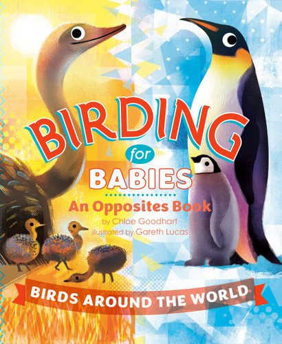 Birding for Babies: Birds Around the World: An Opposites Book book cover by Chloe Goodhart