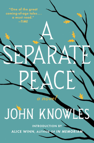 A Separate Peace book cover by John Knowles