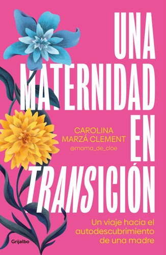 Una maternidad en transición / Maternity in Transition book cover by Carolina Marzá Clement