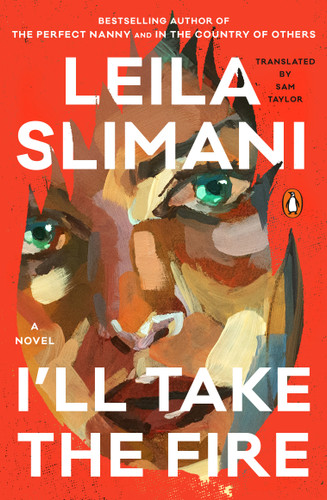 I'll Take the Fire: A Novel book cover by Leila Slimani