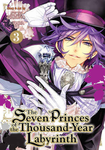 The Seven Princes of the Thousand-Year Labyrinth Vol. 3 (The Seven Princes of the Thousand-Year Labyrinth) book cover by Aikawa Yu