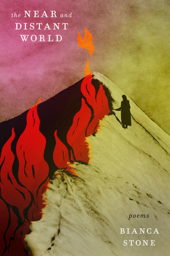 The Near and Distant World: Poems book cover by Bianca Stone