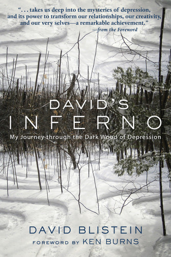 David's Inferno: My Journey Through the Dark Wood of Depression book cover by David Blistein
