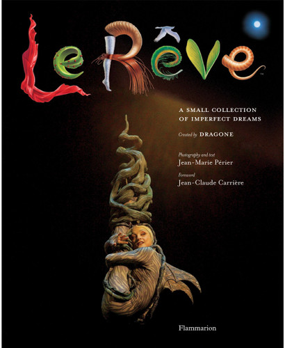 Le Reve: A Small Collection of Imperfect Dreams book cover by 