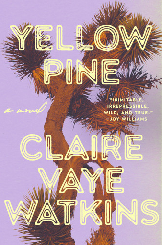 Yellow Pine: A Novel book cover by Claire Vaye Watkins