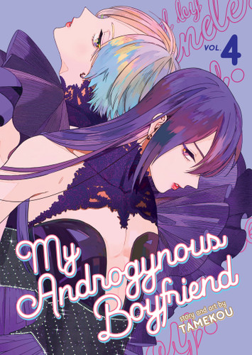 My Androgynous Boyfriend Vol. 4 (My Androgynous Boyfriend) book cover by Tamekou