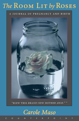 Room Lit By Roses book cover by Carole Maso
