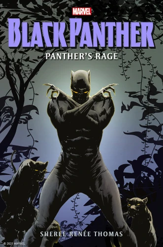Black Panther: Panther's Rage book cover by Sheree Renée Thomas