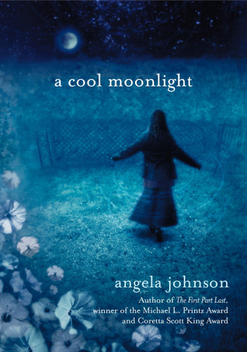 A Cool Moonlight book cover by Angela Johnson