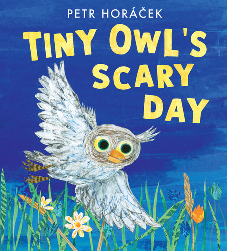 Tiny Owl's Scary Day book cover by Petr Horácek
