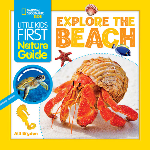 Little Kids First Nature Guide: Explore the Beach (Little Kids First Nature Guide) book cover by Alli Brydon