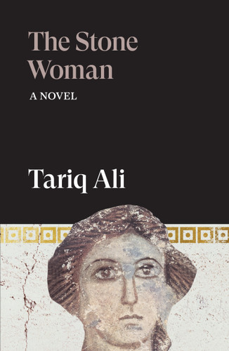 The Stone Woman: A Novel book cover by Tariq Ali