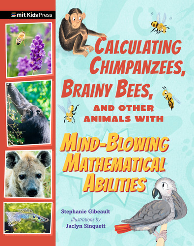 Calculating Chimpanzees, Brainy Bees, and Other Animals with Mind-Blowing Mathematical Abilities (Extraordinary Animals) book cover by Stephanie Gibeault