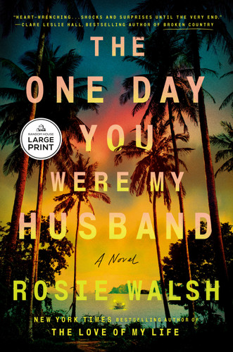 The One Day You Were My Husband: A Novel book cover by Rosie Walsh