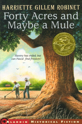 Forty Acres and Maybe a Mule book cover by Harriette Gillem Robinet