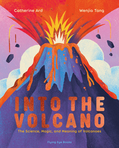 Into the Volcano: The Science, Magic and Meaning of Volcanoes book cover by Catherine Ard