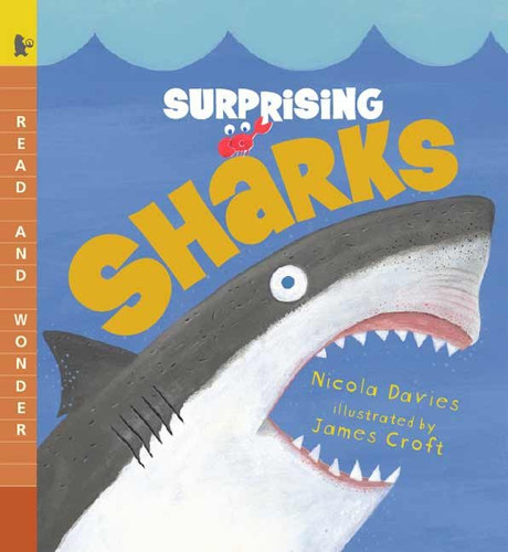 Surprising Sharks: Read and Wonder (Read and Wonder) book cover by Nicola Davies