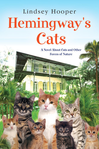 Hemingway's Cats book cover by Lindsey Hooper