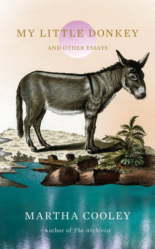 My Little Donkey: And Other Essays book cover by Martha Cooley