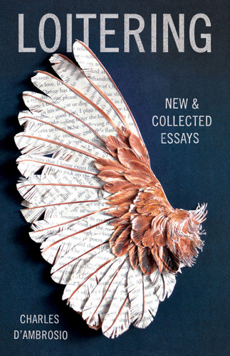 Loitering: New and Collected Essays book cover by Charles D'Ambrosio