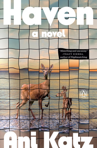 Haven: A Novel book cover by Ani Katz