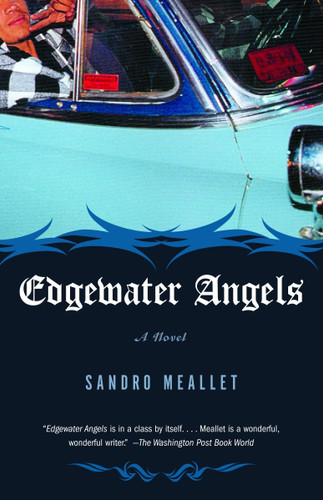 Edgewater Angels: A Novel (Vintage Contemporaries) book cover by Sandro Meallet