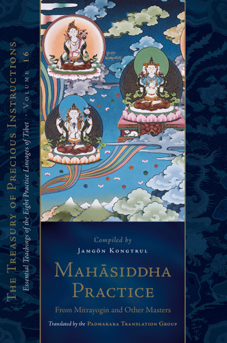 Mahasiddha Practice: From Mitrayogin and Other Masters, Volume 16 (The Treasury of Precious Instructions) (The Treasury of Precious Instructions) book cover by Jamgon Kongtrul Lodro Taye