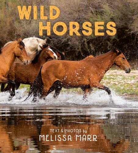 Wild Horses book cover by Melissa Marr
