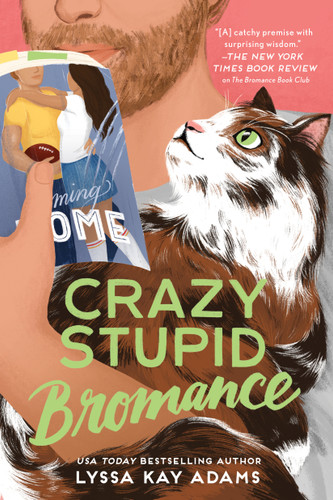 Crazy Stupid Bromance (Bromance Book Club) book cover by Lyssa Kay Adams