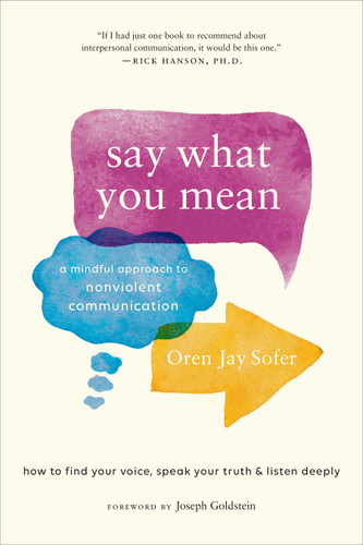 Say What You Mean: A Mindful Approach to Nonviolent Communication book cover by Oren Jay Sofer