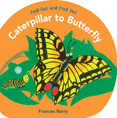 Caterpillar to Butterfly: Fold Out and Find Out (Fold Out and Find Out) book cover by Frances Barry