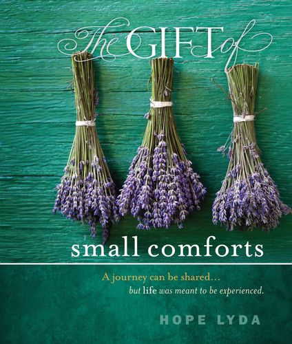 The Gift of Small Comforts book cover by Hope Lyda