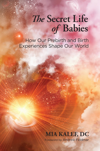 The Secret Life of Babies: How Our Prebirth and Birth Experiences Shape Our World book cover by Mia Kalef, DC