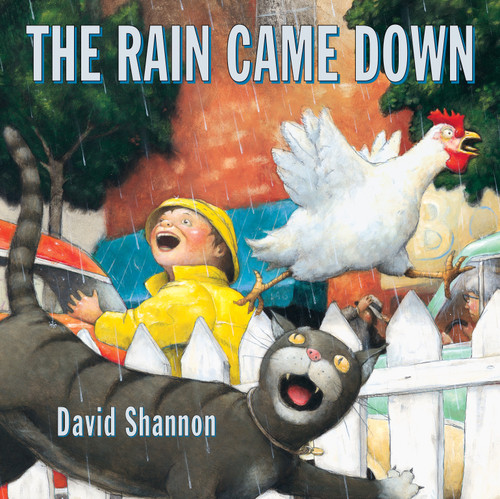 The Rain Came Down book cover by David Shannon