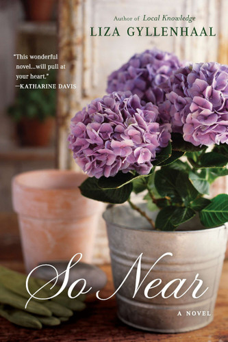 So Near book cover by Liza Gyllenhaal