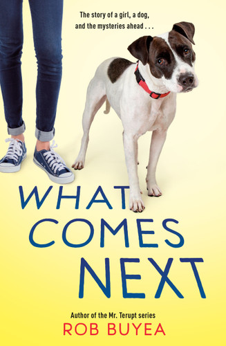 What Comes Next book cover by Rob Buyea