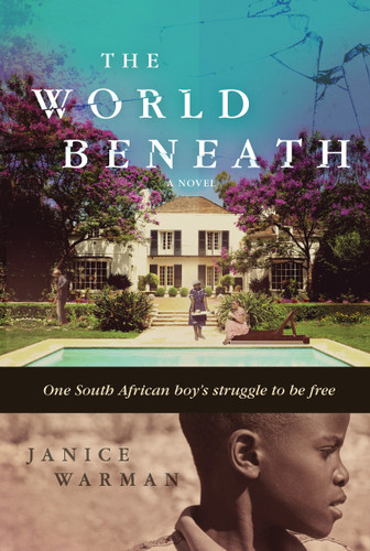 The World Beneath: A Novel book cover by Janice Warman