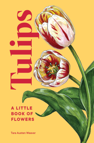 Tulips: A Little Book of Flowers (Little Book of Natural Wonders) book cover by Tara Austen Weaver