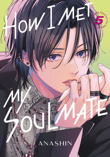 How I Met My Soulmate 5 (How I Met My Soulmate) book cover by Anashin