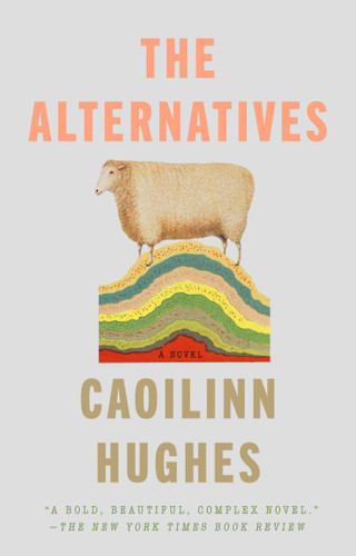 The Alternatives: A Novel book cover by Caoilinn Hughes