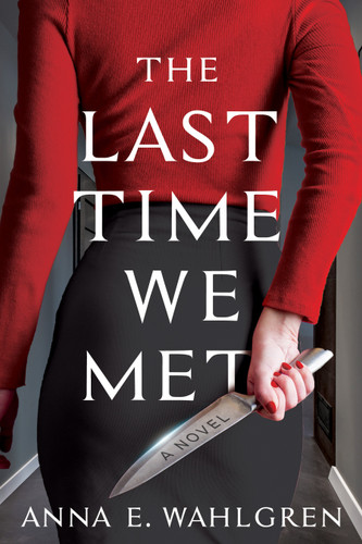 The Last Time We Met: A Novel book cover by Anna E. Wahlgren