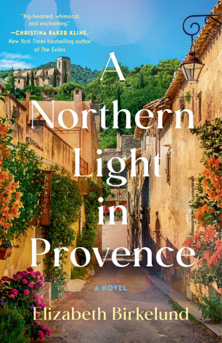 A Northern Light in Provence: A Novel book cover by Elizabeth Birkelund