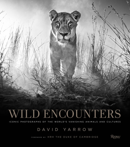 Wild Encounters: Iconic Photographs of the World's Vanishing Animals and Cultures book cover by David Yarrow