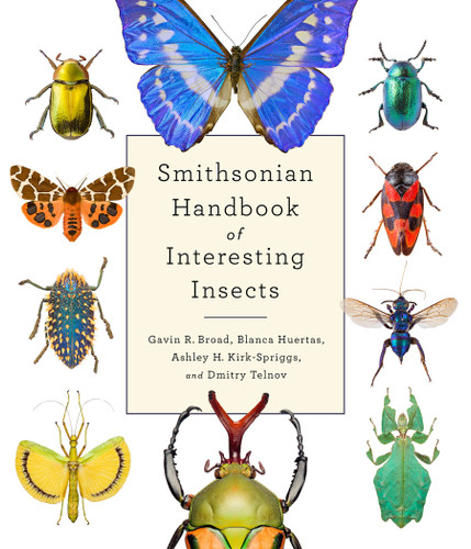 Smithsonian Handbook of Interesting Insects book cover by Gavin R. Broad, Blanca Huertas, Ashley K. Kirk-Spriggs, Dmitry Telnov