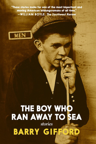 The Boy Who Ran Away to Sea book cover by Barry Gifford