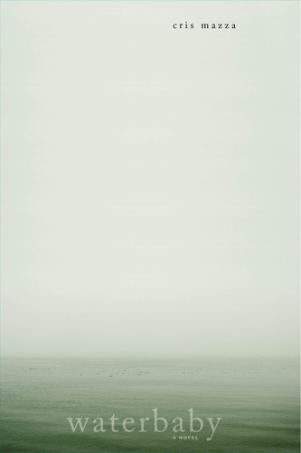 Waterbaby: A Novel book cover by Cris Mazza