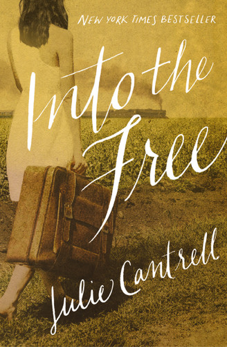 Into the Free book cover by Julie Cantrell