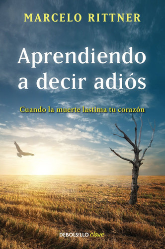 Aprendiendo a decir adiós / Learning to say goodbye book cover by Marcelo Rittner